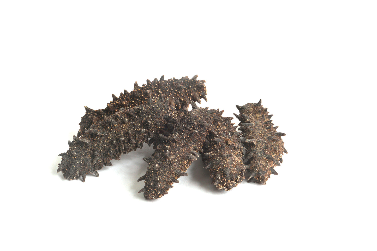 日本關西遼參 (一斤約48枝)