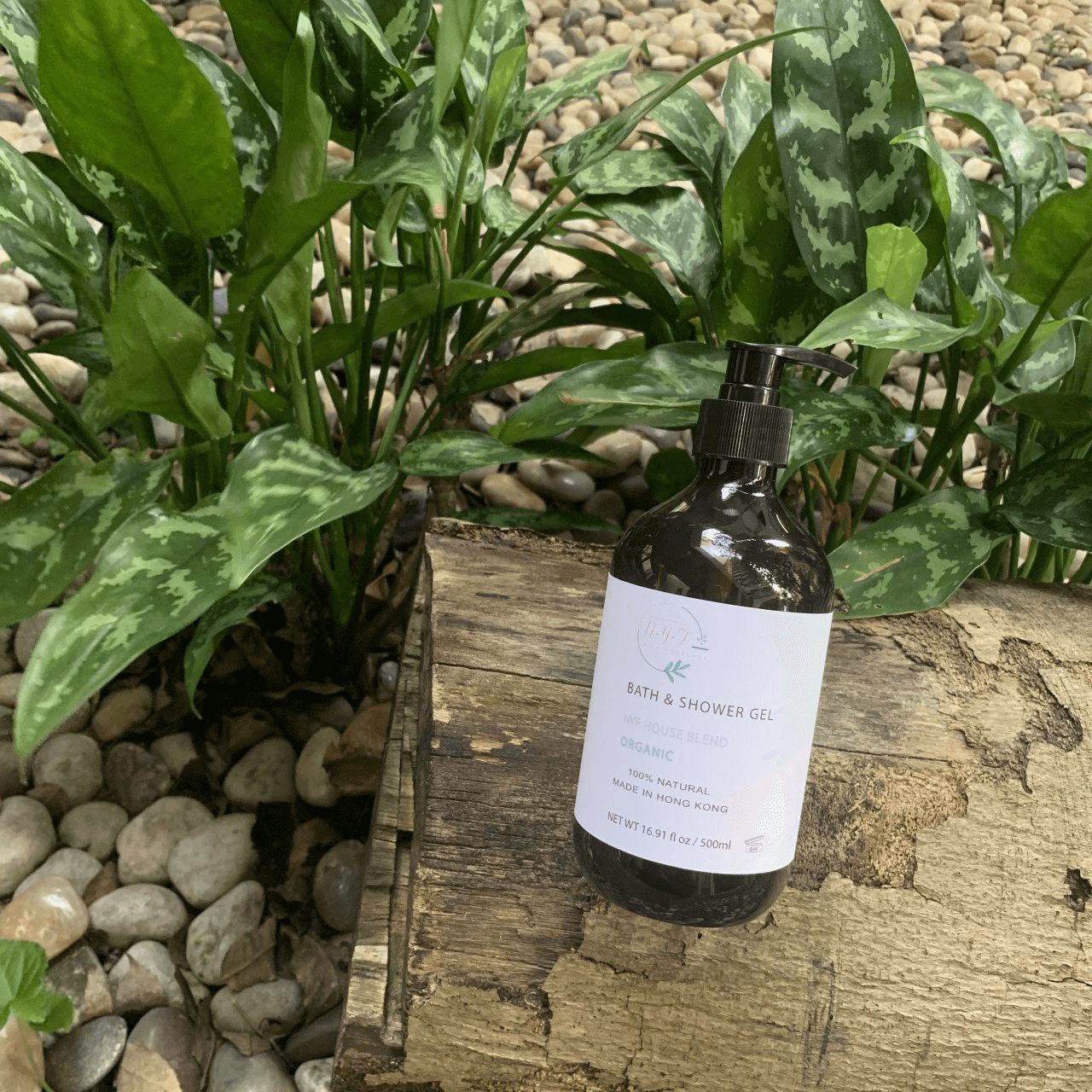 NYF經典沐浴露 Classic Shower Gel