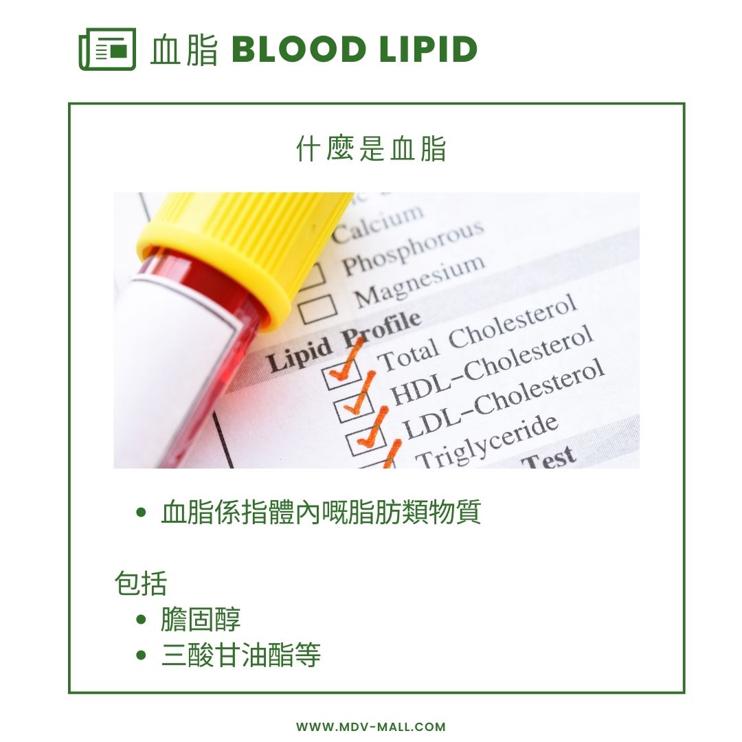 什麼是高血脂?高血脂即係高膽固醇?