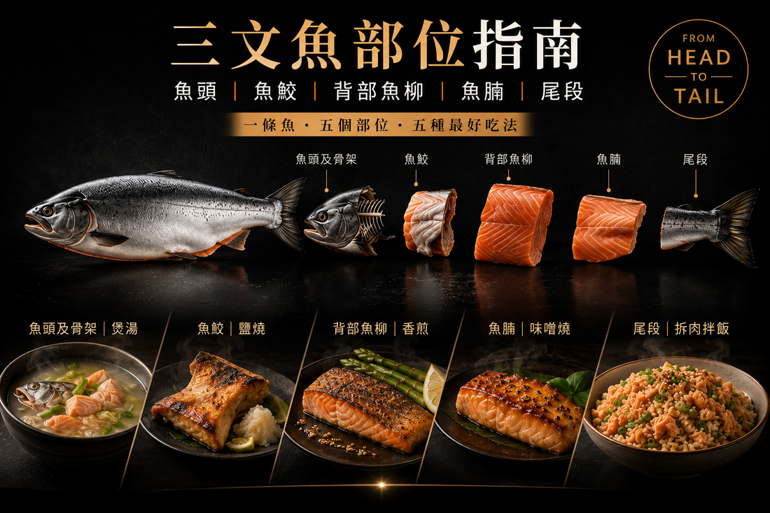 salmon-cuts-head-collar-loin-belly-tail-guide