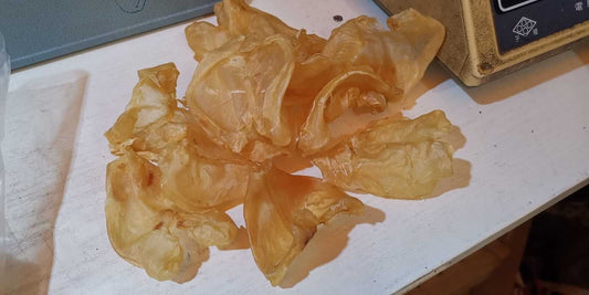 巴西鴨泡肚 (50-52) 頭