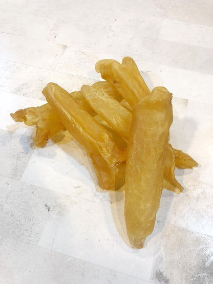 巴西花膠筒 (21 頭)