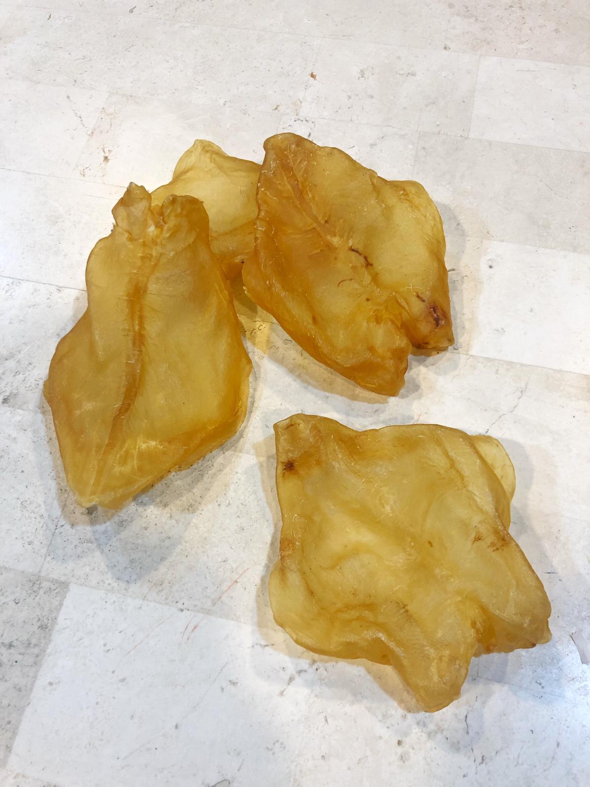 巴西鴨泡肚 (33-35) 頭