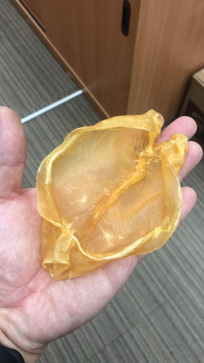 巴西鴨泡肚 (33-35) 頭