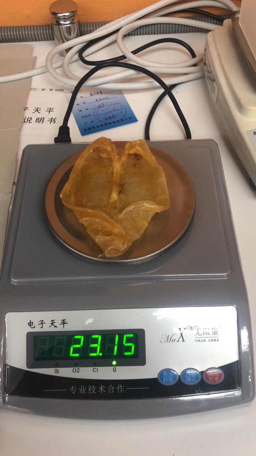 巴西鴨泡肚 (33-35) 頭