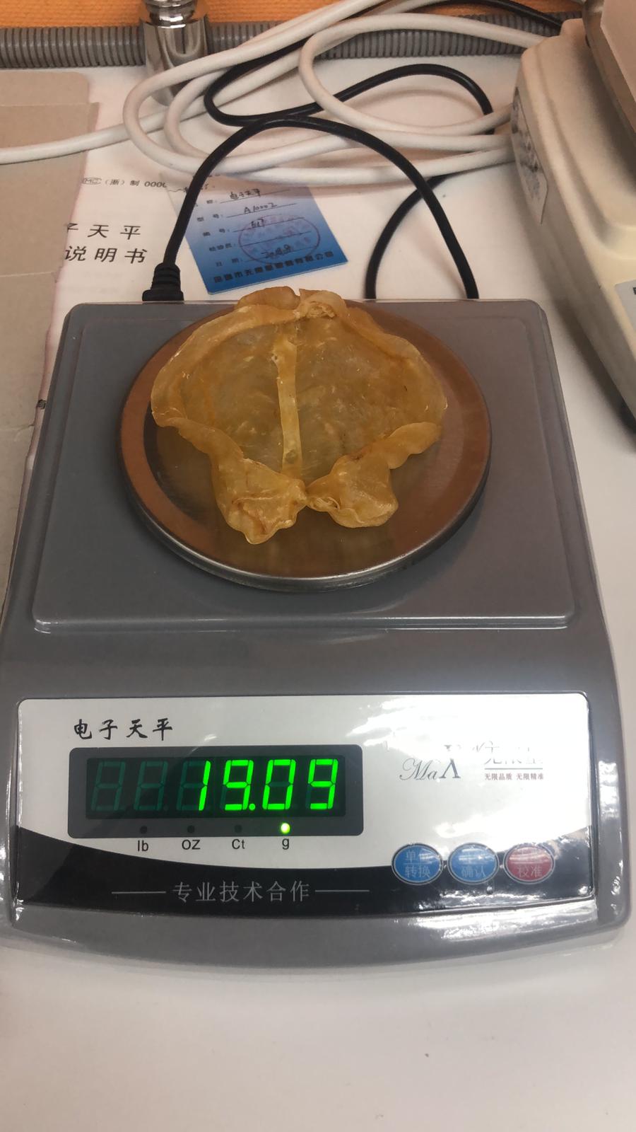 巴西鴨泡肚 (33-35) 頭