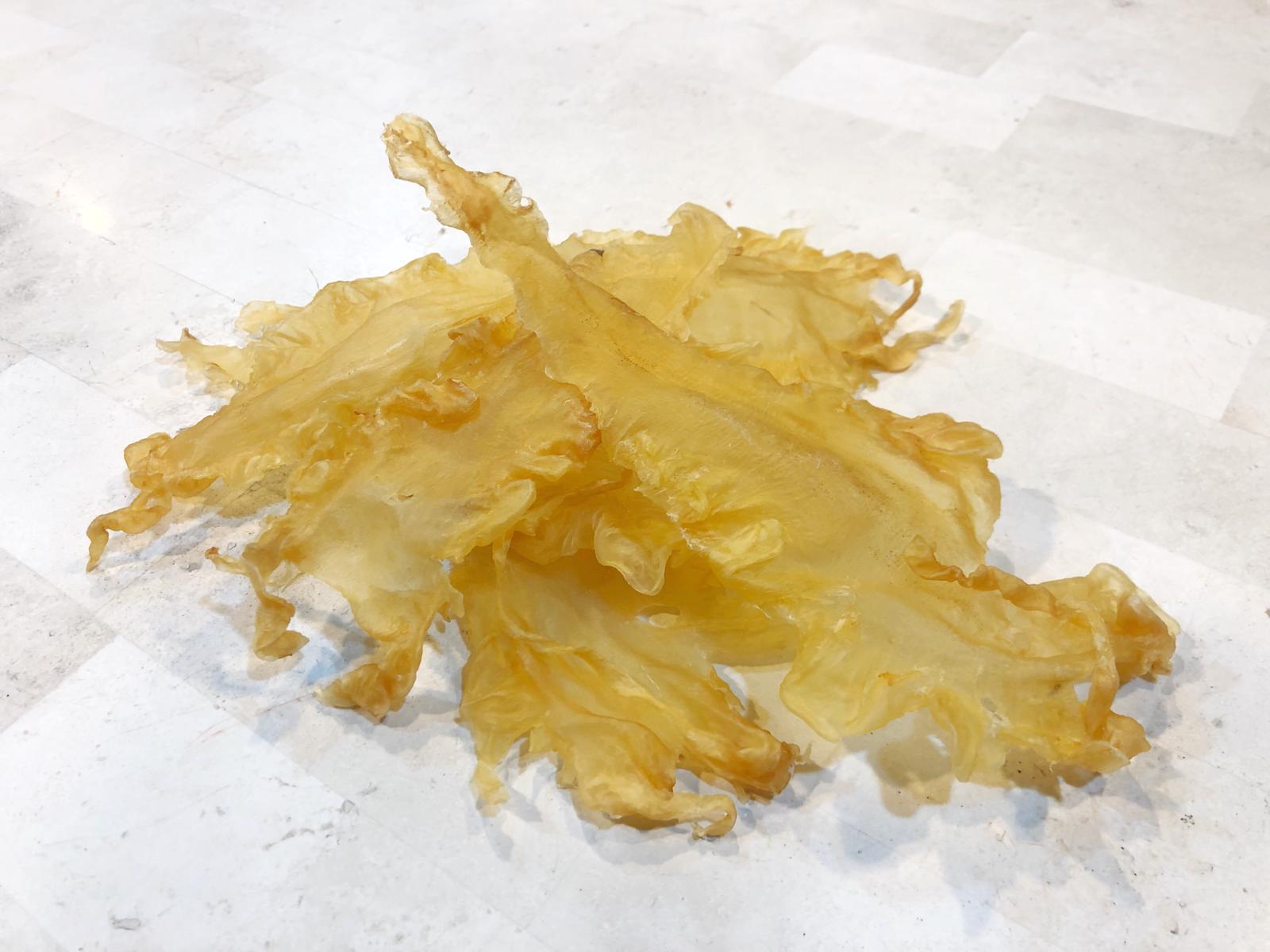 冰島鱈魚膠 (36-38) 頭