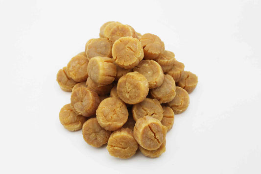 日本宗谷元貝 (L碼)