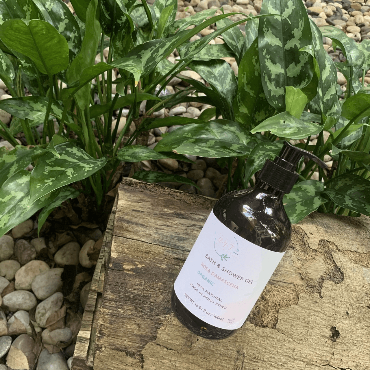 NYF玫瑰沐浴露 Rose Shower Gel