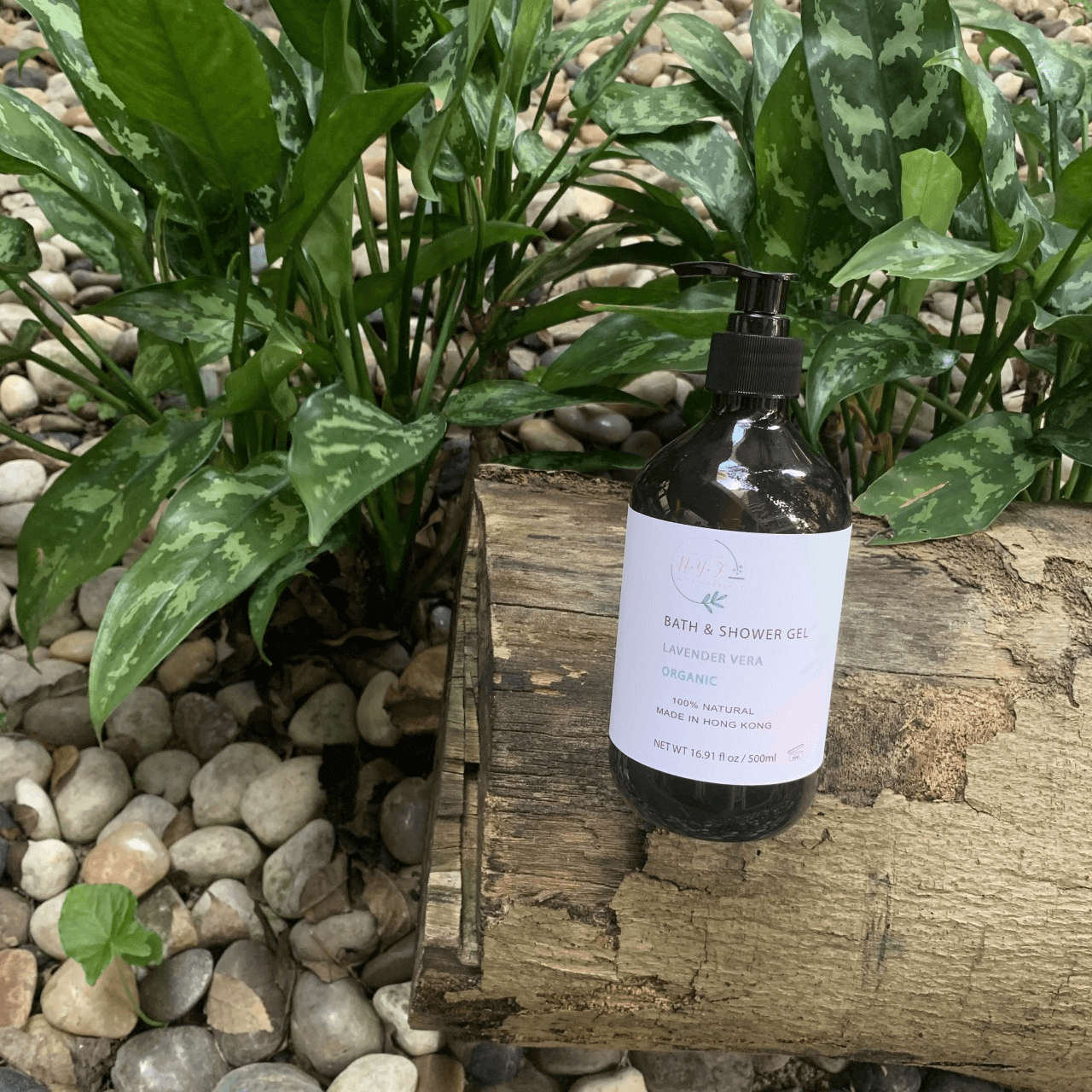 NYF薰衣草沐浴露 Lavender Shower Gel