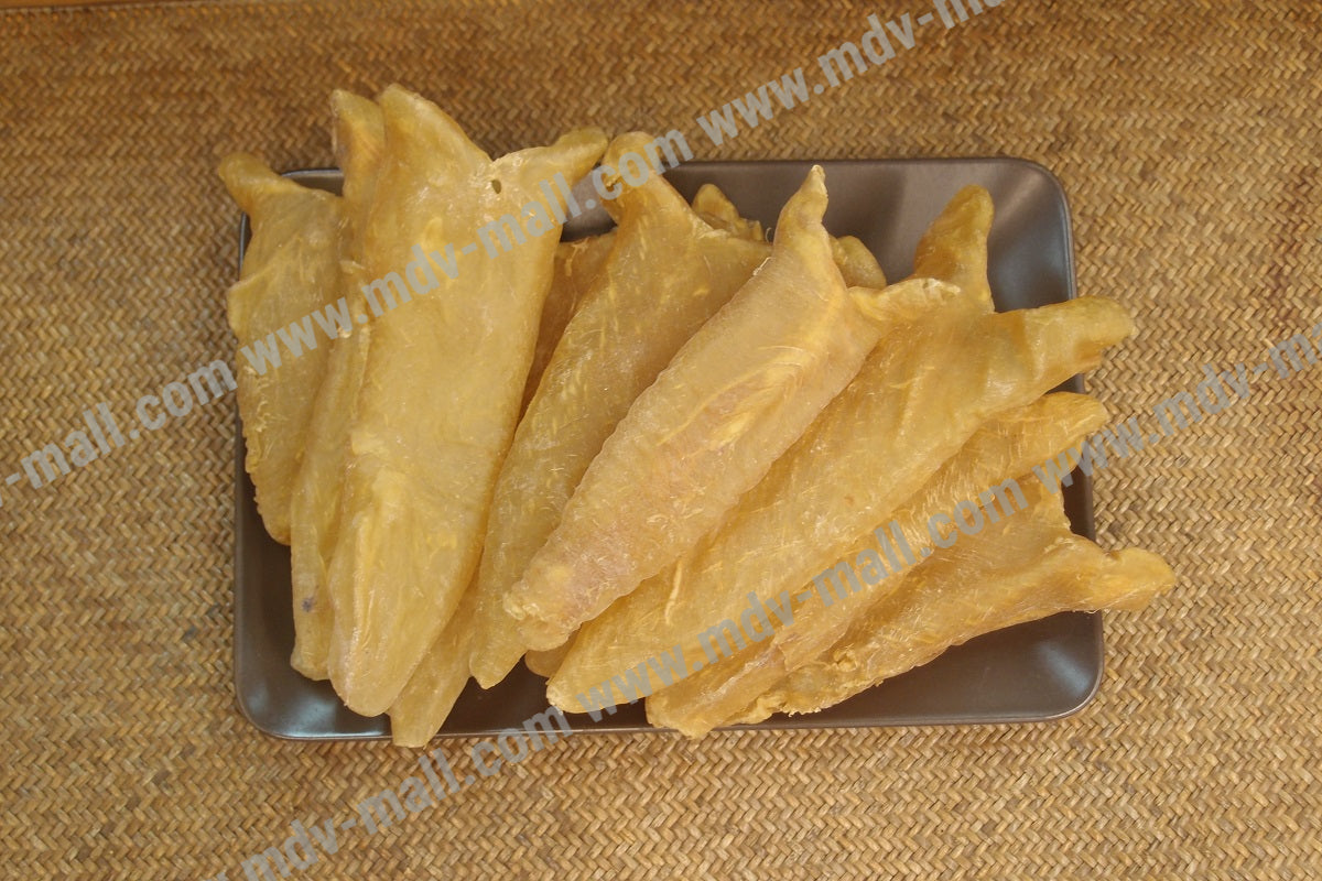 巴西花膠筒 (13 頭)