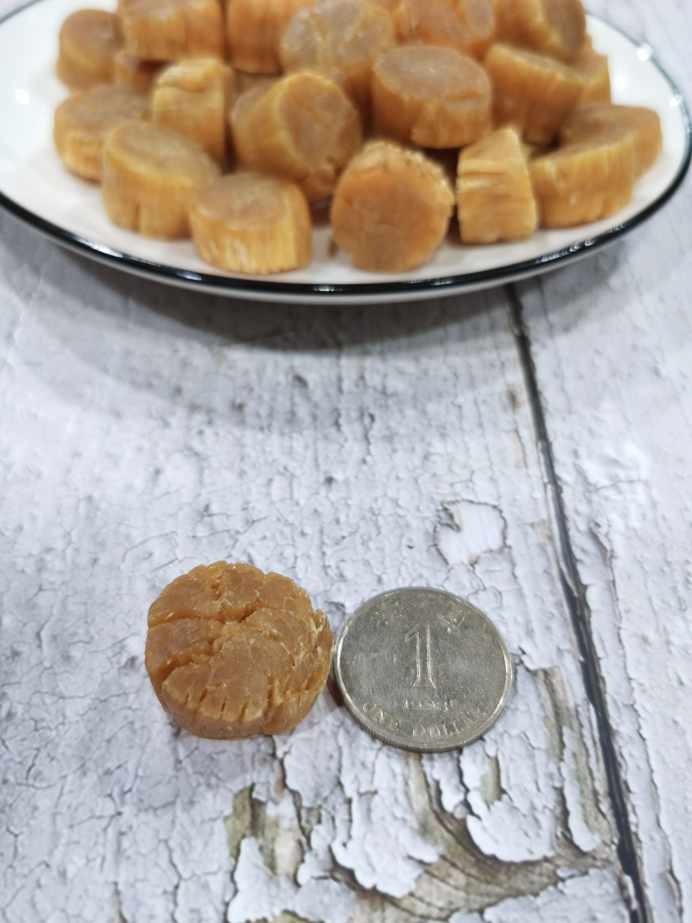 日本宗谷元貝 (S碼)