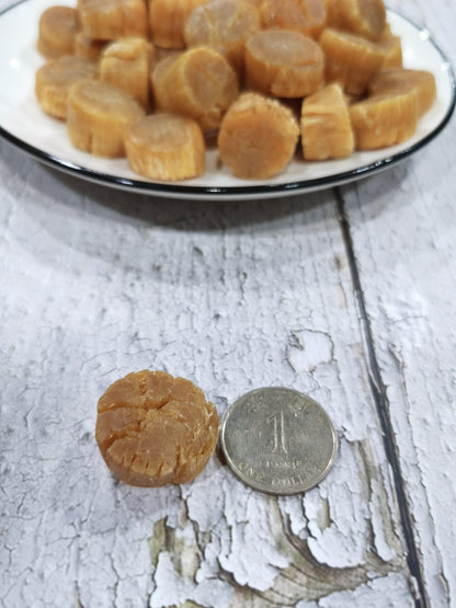 日本宗谷元貝 (S碼)