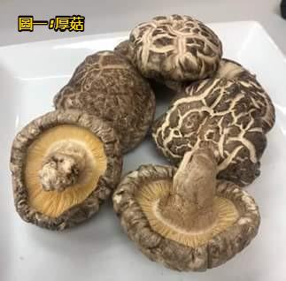 日本花菇