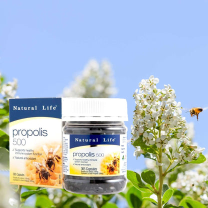 Natural Life Propolis 蜂膠 500MG (365 Capsules)